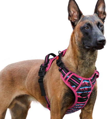 Rabbitgoo Dog Harness Medium Sized, Updated Easy on & off with 3 Buckles | No Pull No Choke, Walking with 2 Clips and Handle, Adjustable Soft Reflective, Blue, Medium16