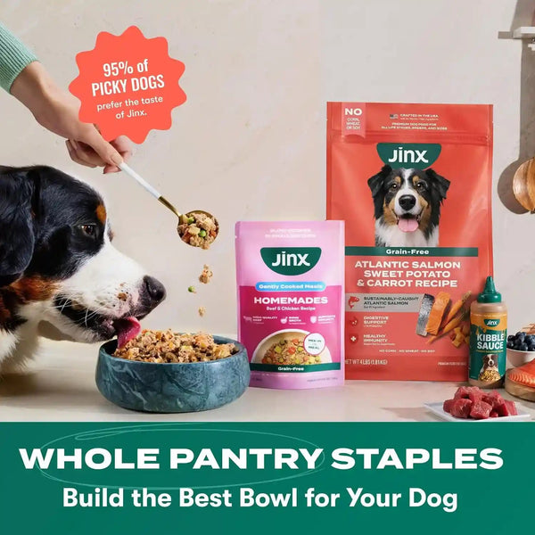 Jinx Grain Free Dry Dog Food - Real Salmon, Sweet Potato & Carrot, 4Lb | Premium Kibble for Digestive Support & Healthy Immunity - No Fillers, All Lifestages (Puppy, Adult & Senior), Breeds & Sizes9