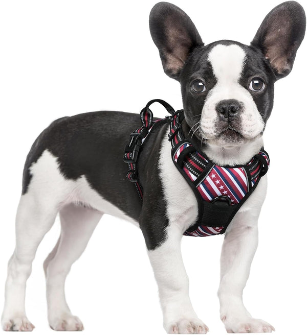 Rabbitgoo Dog Harness, No Pull for Large Dogs with 2 Leash Clips, Pet Vest | No Choke with Handle, Adjustable Soft Padded, Reflective, Easy Control for Walking, Black, Large137