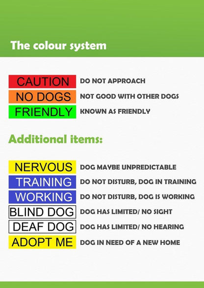 ADOPT ME Yellow Color Coded L-XL Non-Pull Dog Harness (New Home Needed) Donate to Your Local Charity4