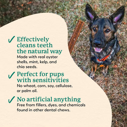 Dr. Harvey'S Holistix Dental Chews for Dogs for Fresh Breath (24 Sticks) | Mint, Sweet Potato, Dried Kelp & Oyster Shells - Supports Teeth Cleaning3