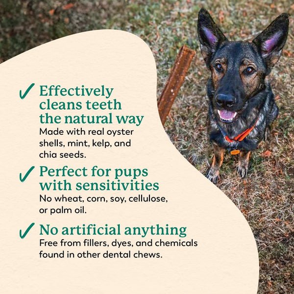 Dr. Harvey'S Holistix Dental Chews for Dogs for Fresh Breath (24 Sticks) | Mint, Sweet Potato, Dried Kelp & Oyster Shells - Supports Teeth Cleaning3