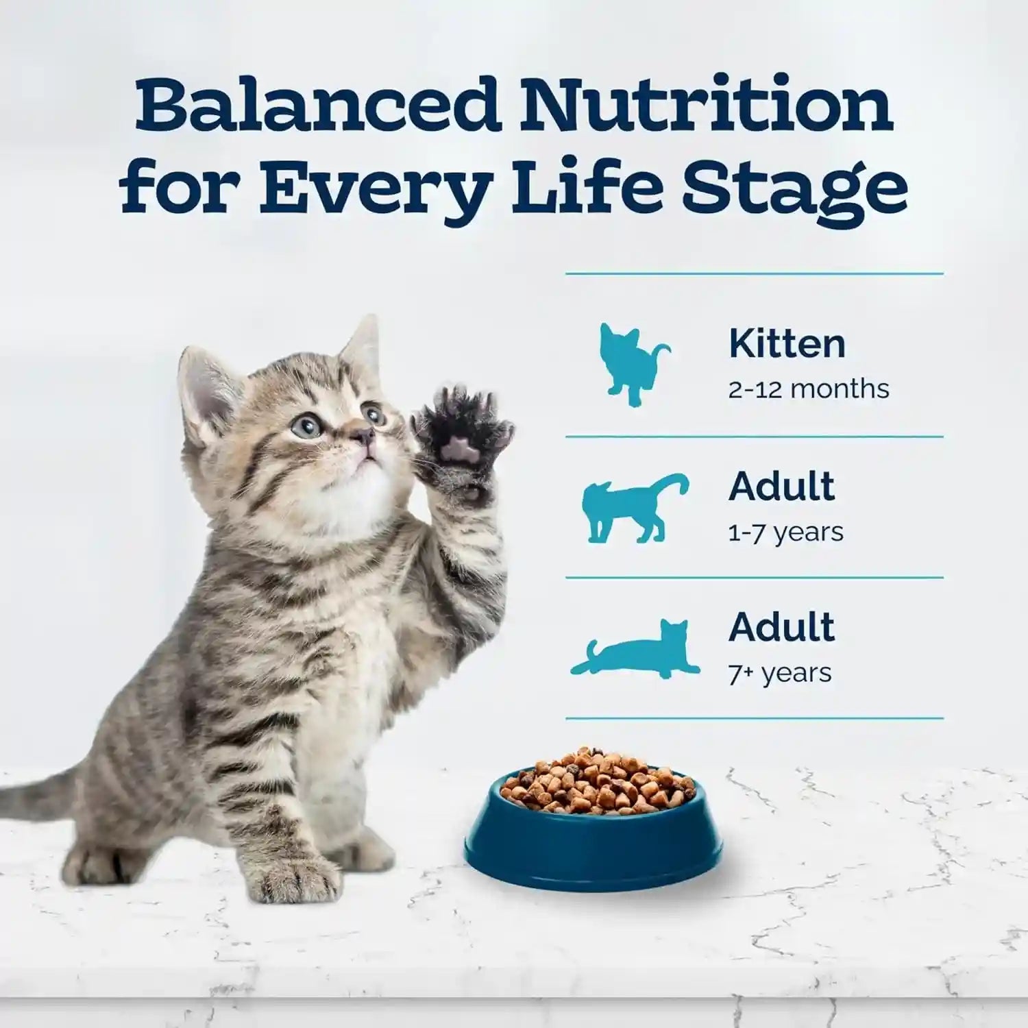 blue-buffalo-tastefuls-kitten-food-with-dha-dry-cat-food-made-in-the-usa-with-natural-ingredients-chicken-recipe-3-lb-resealable-bag