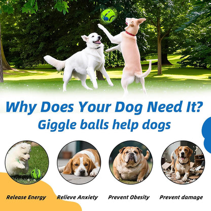 Dog Toys Ball, Interactive, M, 3.46 in (8.8 Cm) | Shaking with Gibbering Sound, for Training & Herding6