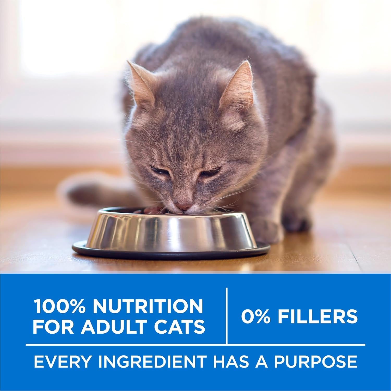 purina-one-plus-high-protein-cat-food-dry-salmon-and-ocean-whitefish-cat-skin-and-coat-health-formula-7-lb-bag