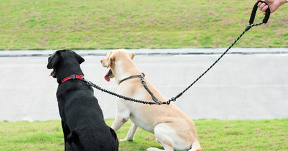 Double Dog Leash, 360° Swivel, No Tangle, Large, 25-150 Lbs, Black | Dual Leash for Two Dogs, Split Leash, Shock-Absorbing Bungee, Padded Handle, Heavy-Duty Rope7