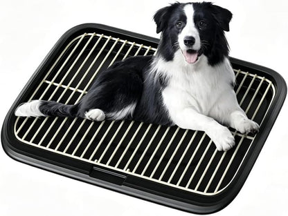 Dog Potty Tray Indoor Pet Pee Pad Holder for Small & Medium Dogs, Puppy Training Pad Holder, Pet Toilet Litter Box, Dog Bathroom Tray, Housebreaking Potty Supplies 17.72''Lx12.99''Wx1.97''H(Green)10