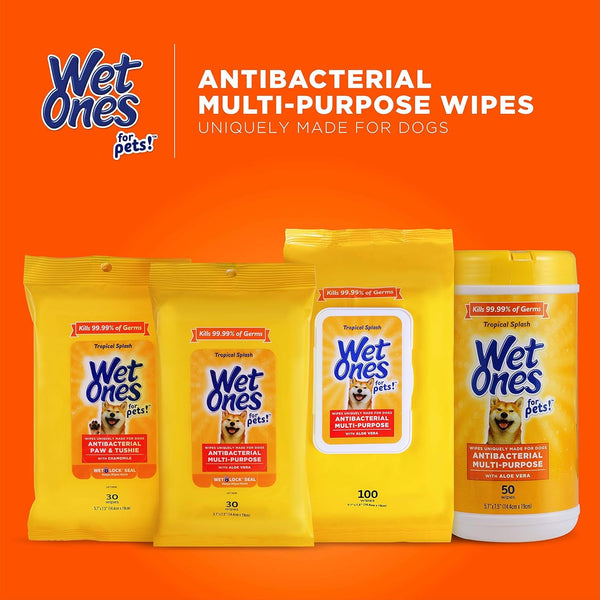 Wet Ones for Pets Antibacterial Dog Wipes, Tropical Splash, 50 Count | Multi-Purpose Grooming Wipes with Aloe Vera for Paws, Face, and Body; Easy Cleanups between Baths8