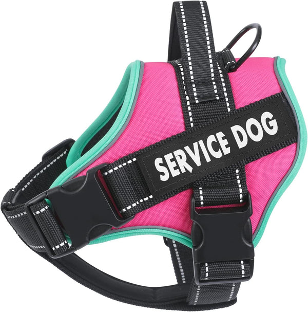 Voopet Service Dog Harness, Emotional Support Pet Vest Harness, Reflective Breathable & Adjustable No Pull ESA Harness for Small Medium Large Dogs (With 4 PCS Removeable Tags),Xx Small (Pack of 1)29