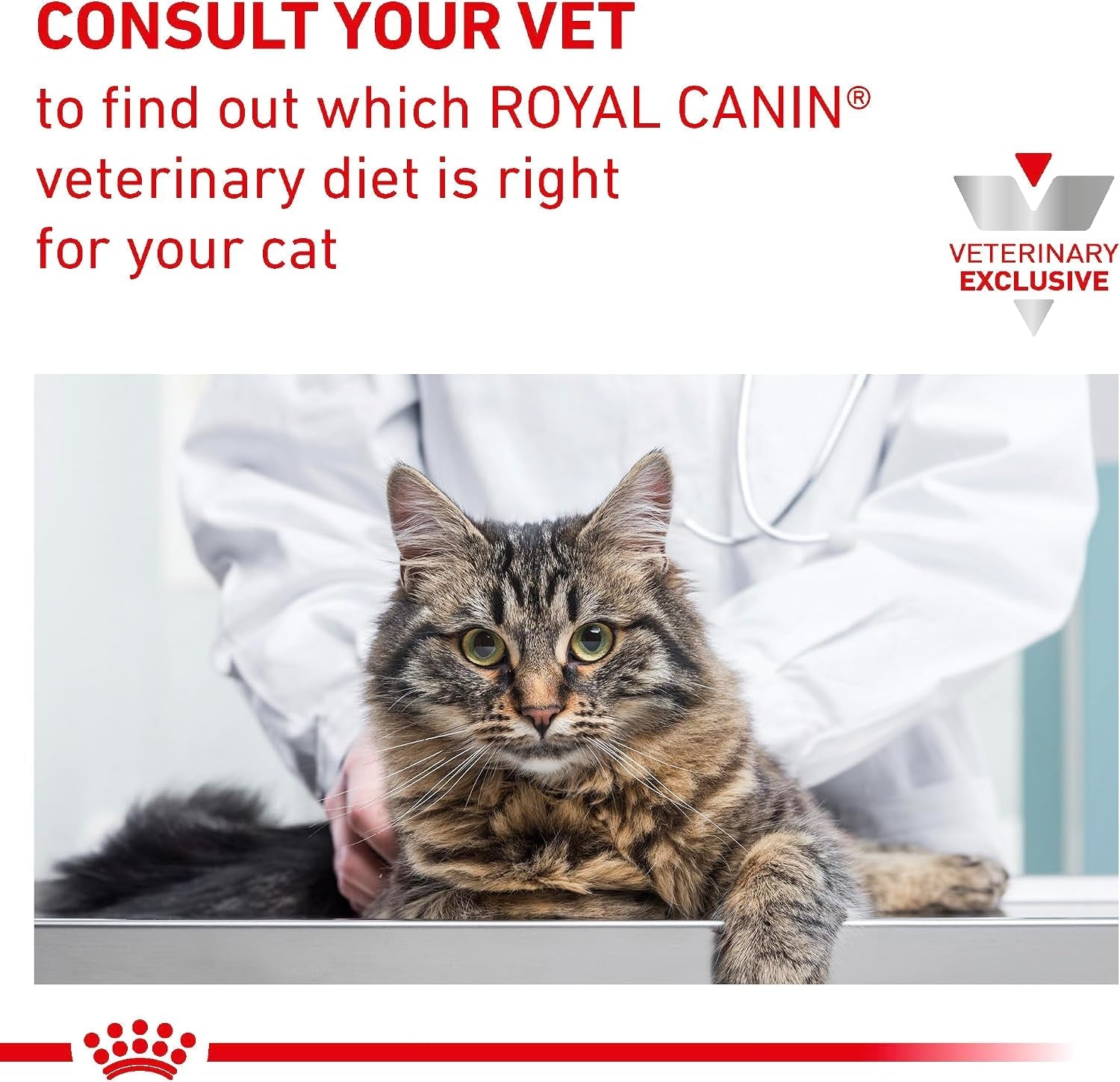 royal-canin-veterinary-diet-feline-hydrolyzed-protein-treats-adult-dry-cat-food-7-7-oz-bag