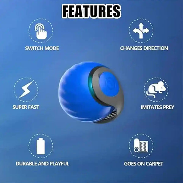 2Packs Speedy 2.0 Tail Cat Toys for Bored Indoor Adult Cats,2025 New Generation Interactive Cat Toys for Indoor Cats,Automatic Moving Ball with Tail,Blue and Orange5