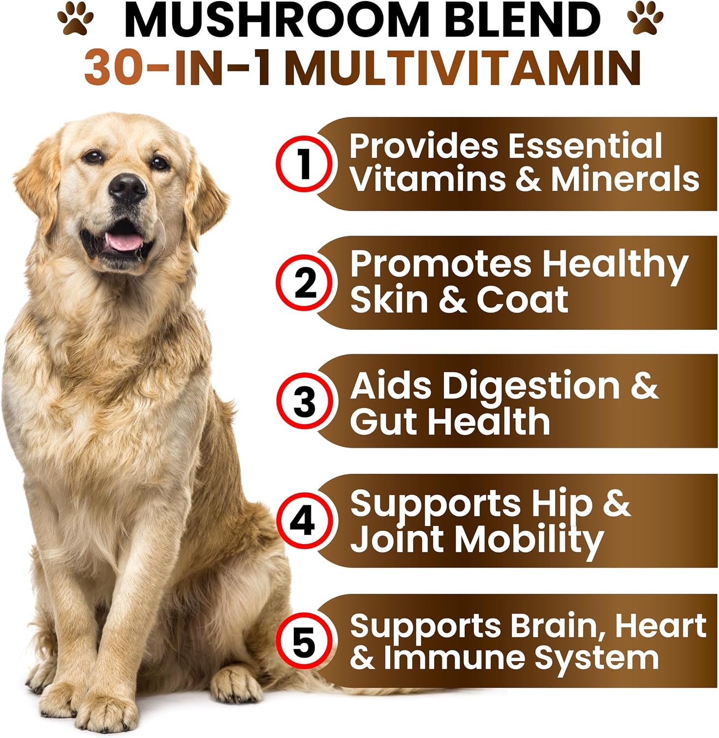 turkey-tail-mushroom-supplement-for-dogs-170-chews-mushrooms-for-dogs-reishi-lion-s-mane-glucosamine-multivitamin-immune-booster-gut-hip-joint-health-support-vitamins-energy-skin