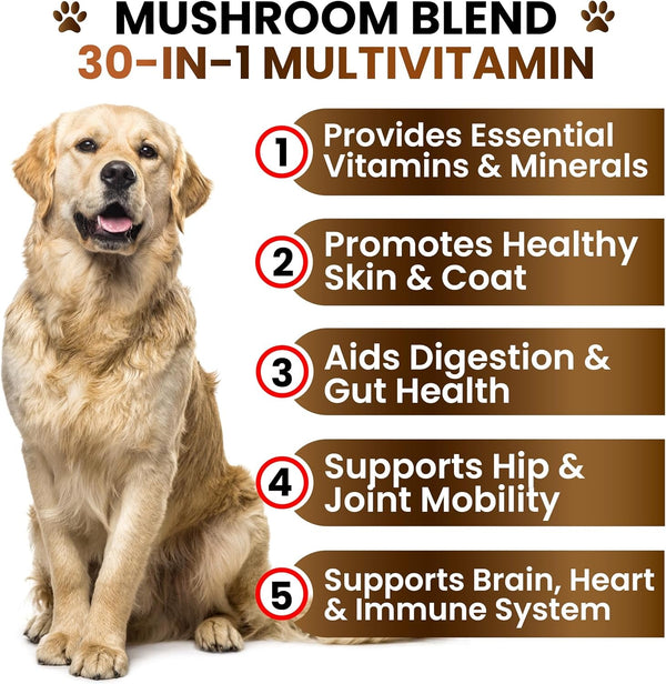 Turkey Tail Mushroom Supplement for Dogs - 170 Chews - Mushrooms for Dogs - Reishi, Lion’S Mane, Glucosamine Multivitamin - Immune Booster, Gut, Hip & Joint Health Support Vitamins, Energy & Skin3