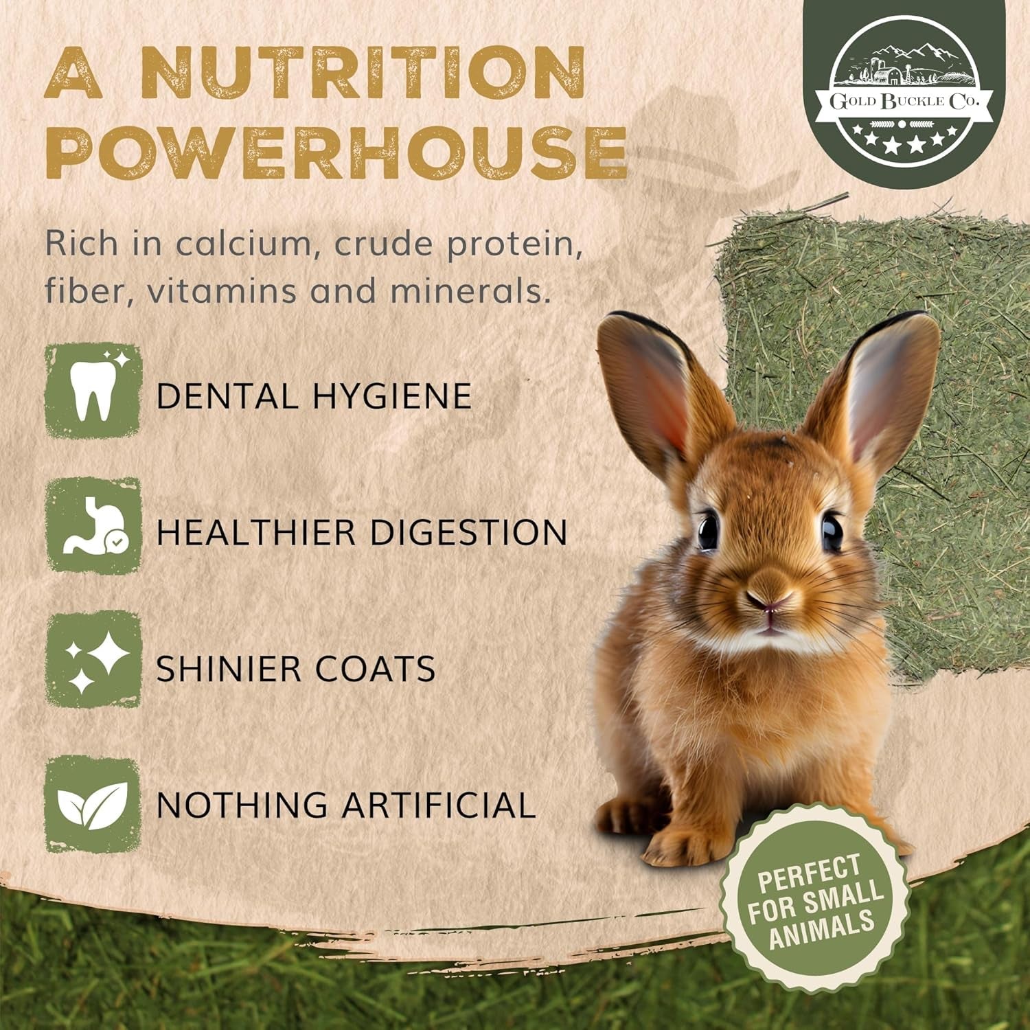 premium-alfalfa-hay-for-rabbits-guinea-pigs-all-natural-usa-grown-9lb-hay-for-guinea-pigs-chinchillas-hamsters-ferrets-farm-fresh-rich-in-protein-fiber-fresh-dried-hand-selected