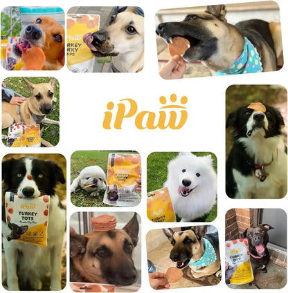 Ipaw Chicken Tots Dog Treat,Sqf-Certified Production Process,Training Treat | Puppy Training, Human Grade, Training Reward, Hypoallergenic, Easy to Digest8