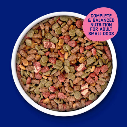 Kibbles 'N Bits Bistro Mini Bits Small Breed Dry Dog Food, Oven Roasted Beef, Spring Vegetable & Apple Flavors for Adult Dogs, 16 Lb. Bag3