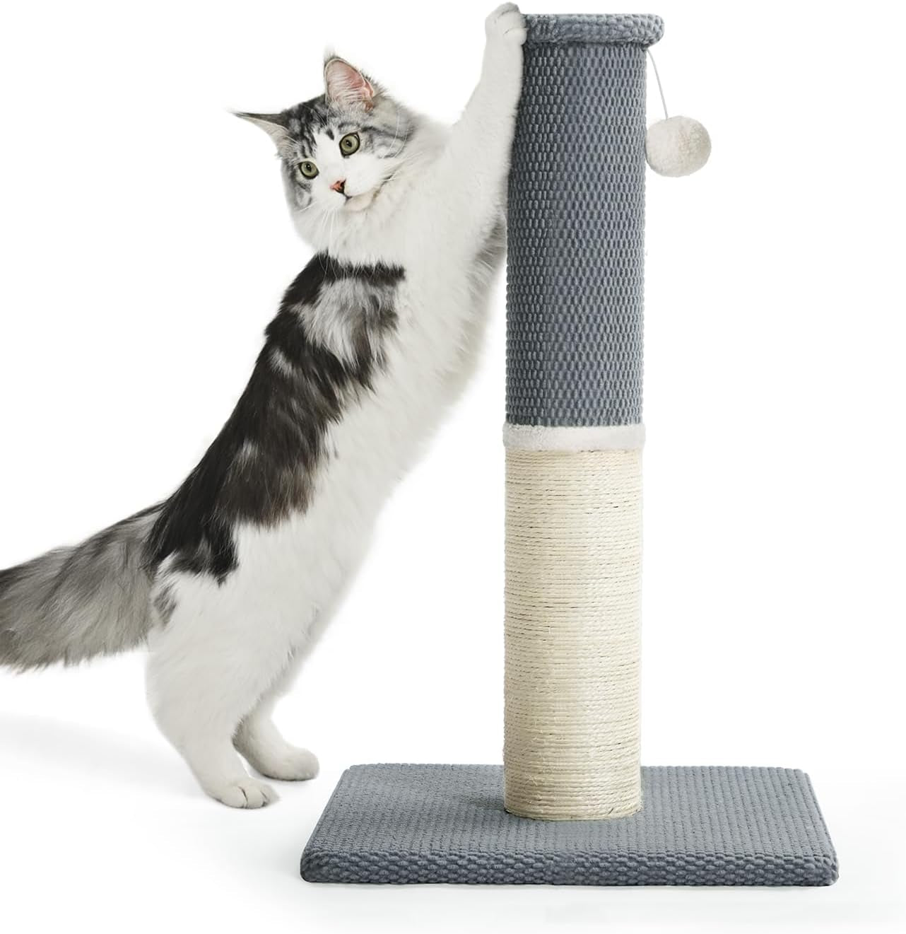 made4pets-tall-cat-scratching-post-with-sisal-carpet-for-indoor-cats-33-cat-scratcher-with-wide-stable-base-interactive-hanging-toys-ideal-for-adult-cats-large-breeds-and-full-body-stretching