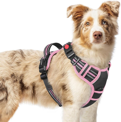 Rabbitgoo Dog Harness Medium Sized, Updated Easy on & off with 3 Buckles | No Pull No Choke, Walking with 2 Clips and Handle, Adjustable Soft Reflective, Blue, Medium15