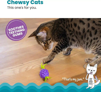 Catstages Bouncing Grape Teether Cat Toy, Soft and Textured Chew, Catnip Oil Coating2