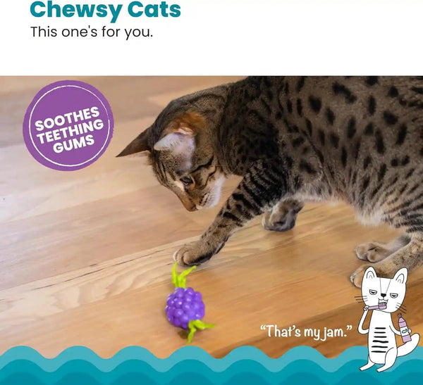 Catstages Bouncing Grape Teether Cat Toy, Soft and Textured Chew, Catnip Oil Coating2
