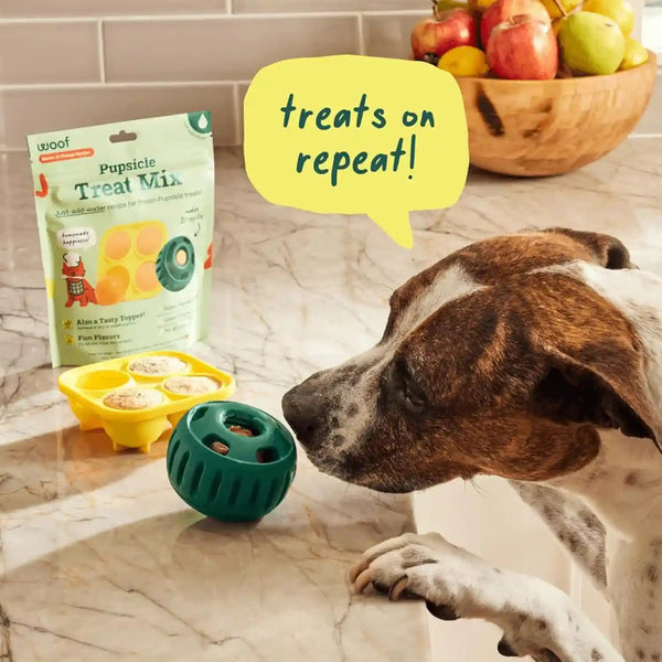 WOOF Dog Pupsicle Mix - Easy-To-Make DIY Pupsicle Refills - Tasty, Healthy Pupsicle Mix - Wholesome Ingredients - Long-Lasting Treats for Dogs - Bacon and Cheese Mix6