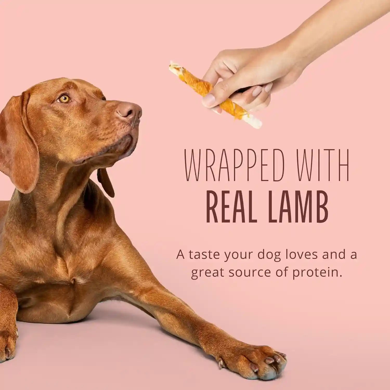 better-belly-proteins-with-real-lamb-twists-digestible-rawhide-for-dogs-25-count