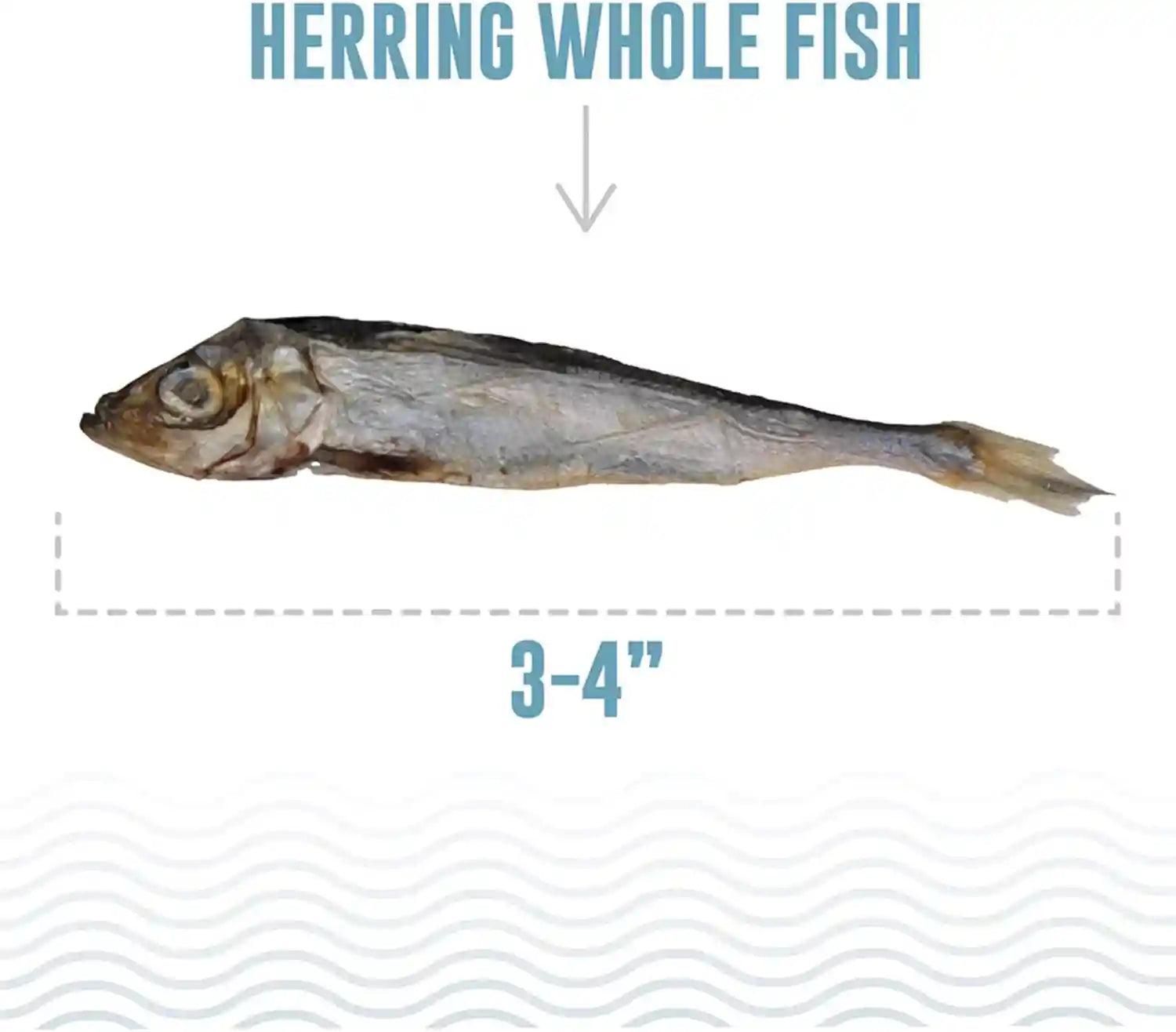icelandic-whole-fish-herring-3oz-wild-caught-air-dried-dog-treats