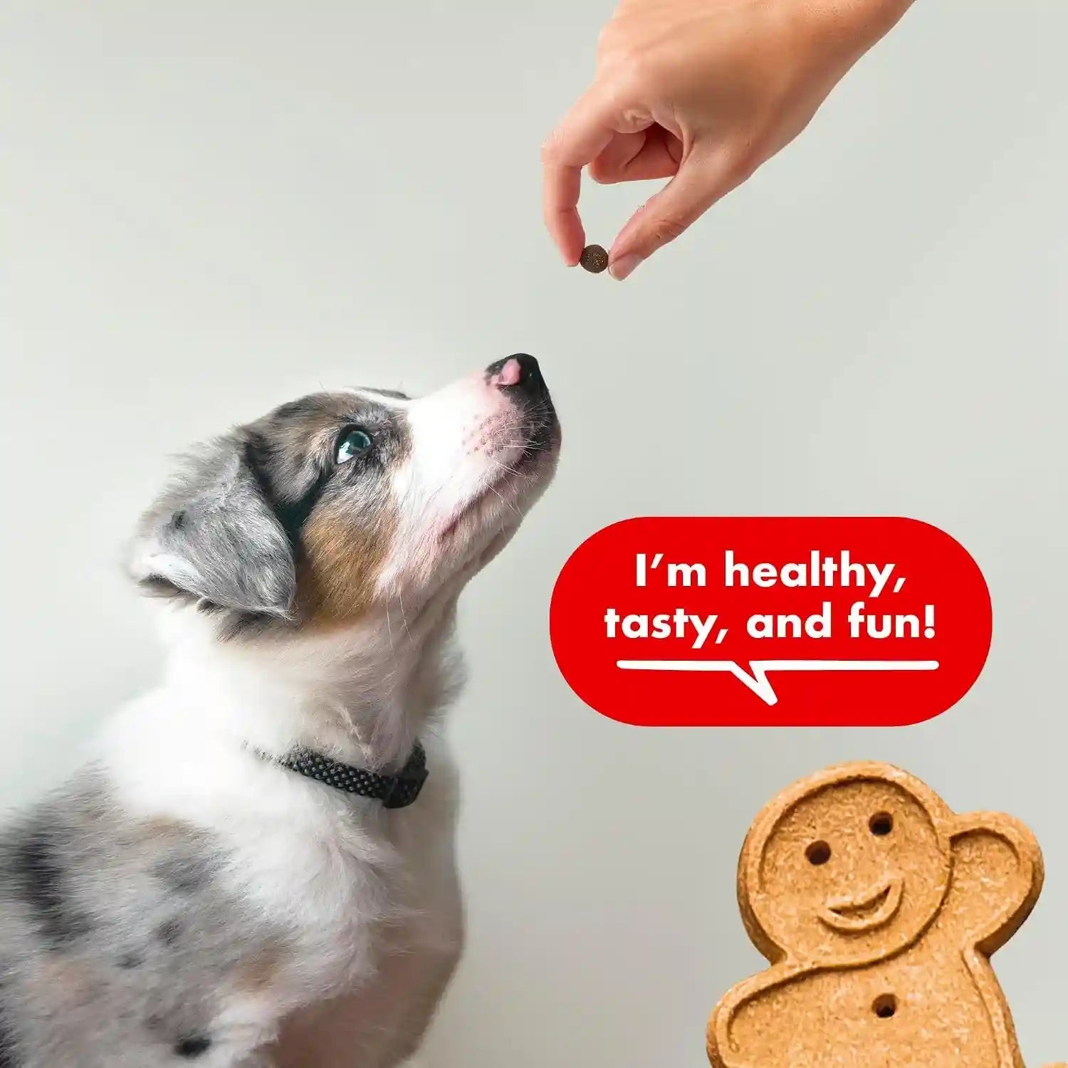 buddy-biscuits-trainers-training-bites-soft-chewy-dog-treats-beef-10-oz-pouch