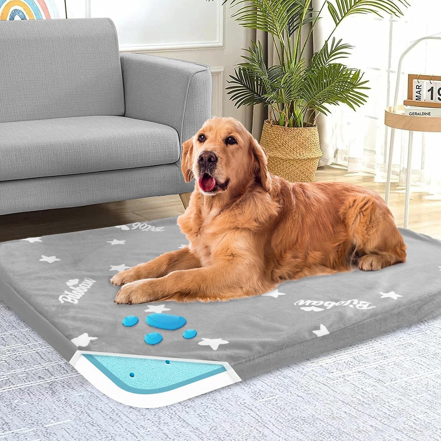 waterproof-dog-bed-for-large-medium-dog-memory-foam-dog-beds-furniture-38-x-26-x-1-5-for-large-sized-dogs-with-anti-slip-washable-removable-cover-soft-flannel-top-pet-beds-grey
