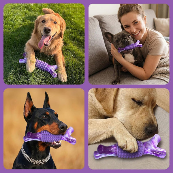Dog Toys for Aggressive Chewers, Tough Stick Chew Bone | Durable Rubber & Nylon Dog Bones, Indestructible Dog Doys for Medium,Large Dogs,Beef Flavor9
