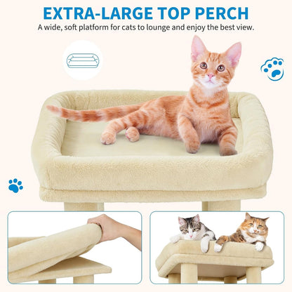 Takywep Beige 61" Heavy Duty Cat Tree for Large Indoor Cats & Maine Coon, Warm Multi-Level Cat Tower with Extra Large Perch, 2 Spacious Condos, Natural Sisal Scratching Posts & Interactive Toys6