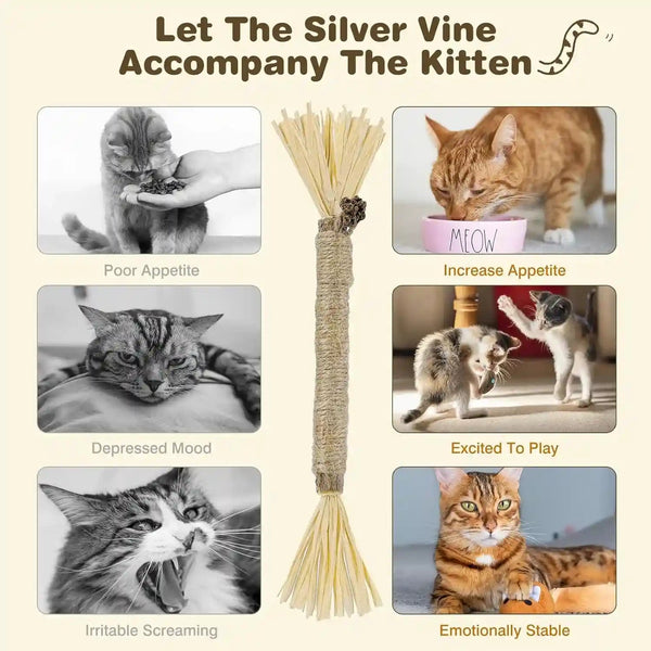 4 Pack Silvervine Sticks for Cats - Cat Chew Toy for Teeth Cleaning, Edible Matatabi Kitty Chew Sticks, Catnip Cat Toys for Indoor Cats (4 Sticks)6
