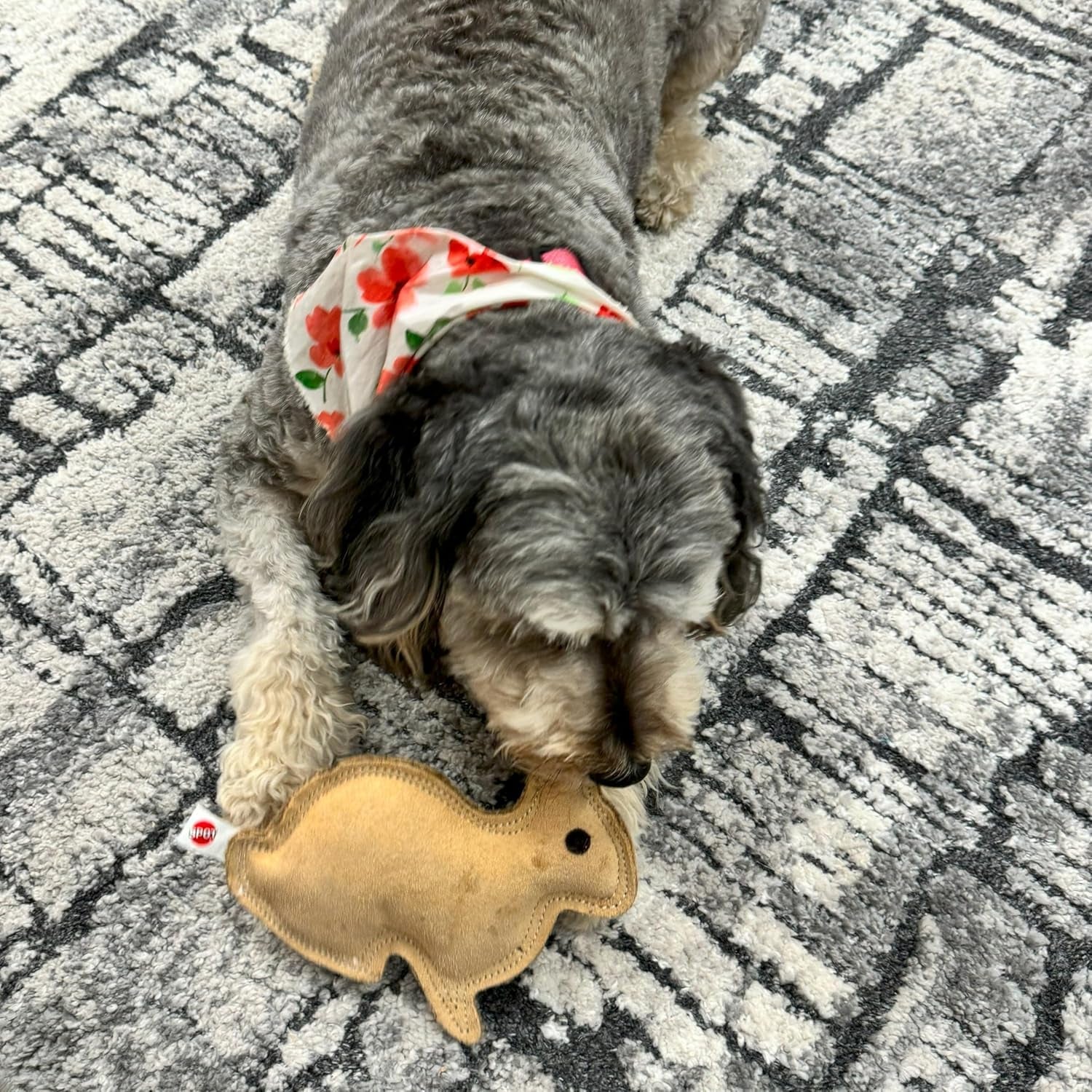 spot-dura-fused-leather-rabbit-dog-toy-durable-real-leather-jute-chew-toy-with-squeaker-double-stitched-for-moderate-chewers-small-medium-dogs-7-5in