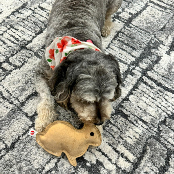 SPOT Dura-Fused Leather Rabbit Dog Toy – Durable Real Leather & Jute Chew Toy with Squeaker, Double-Stitched for Moderate Chewers, Small & Medium Dogs, 7.5In10