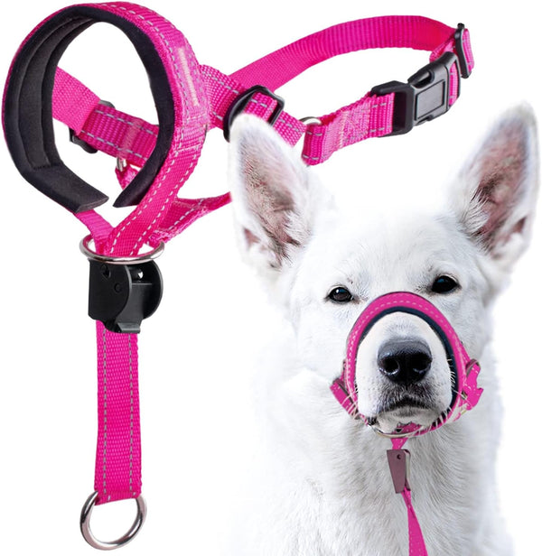 Goodboy Dog Head Halter with Safety Strap - Stops Heavy Pulling on the Leash - Padded Headcollar for Small Medium and Large Dog Sizes - Head Collar Training Guide Included (Size 2, Black)11