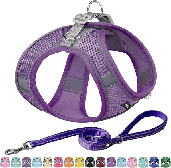 AIITLE No Pull Dog Harness and Leash Set, Step in Adjustable Dog Harness with Padded Vest for All Weather, Dog Leash with Soft Padded Handle, Easy to Put on Small and Medium Dogs Beige S21