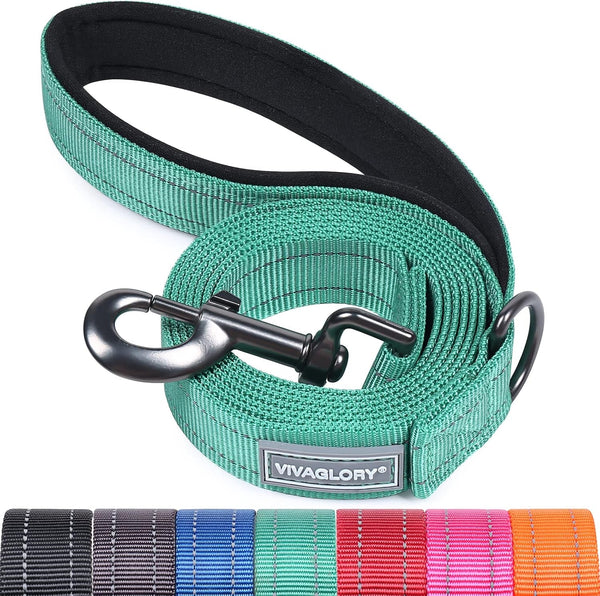VIVAGLORY Dog Leash Puppy Leash for Collar, 3Ft X 1In, Black | with Soft Padded Handle for Training & Walking, Heavy Duty & Double Layer Nylon Pet Puppy27
