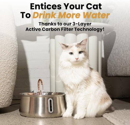 Kittyspout Stainless Steel Cat Water Fountain Automatic Drinking Fountain, Quiet Circulating Water Bowl, Dishwasher Safe, Indoor Pet Fountain for Hydrated Healthy Cats (Stainless Steel, 4L Corded)5