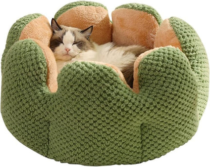 CWV Cute Cat Beds Kitten Beds, Soft Small Dog Beds, Washable Pet Beds for Puppy and Kitty, Funny Frog Cat Cave, 23 Inches10