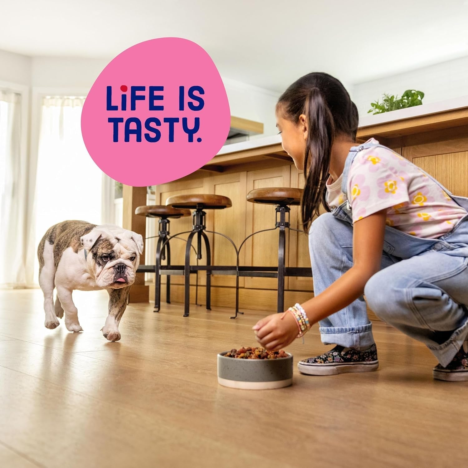 kibbles-n-bits-bistro-mini-bits-small-breed-dry-dog-food-oven-roasted-beef-spring-vegetable-apple-flavors-for-adult-dogs-16-lb-bag
