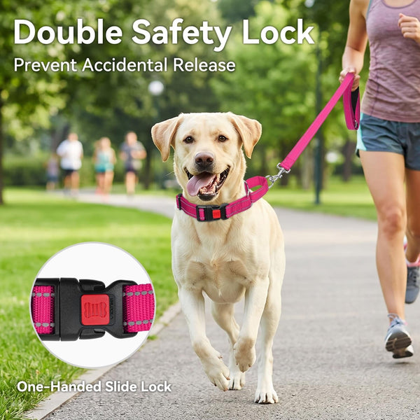 Joytale Martingale Collar for Dogs, Escape Proof No Pull, Hotpink, M | Gentle Cinch Stops Pulling without Choking, Safety Lock Buckle, Reflective Stitching for Night Walks, Soft Nylon2
