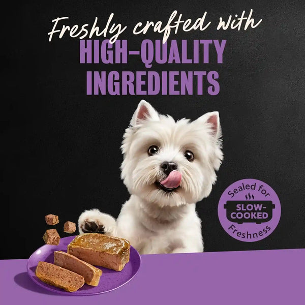 Cesar Classic Loaf in Sauce Wet Dog Food, Filet Mignon, 3.5 Oz, 24 Count | Made in USA, Real Beef #1 Ingredient, No Fillers/Added Sugar/Artificial Flavors, Use as Meal or Topper, Easy Peel Trays11