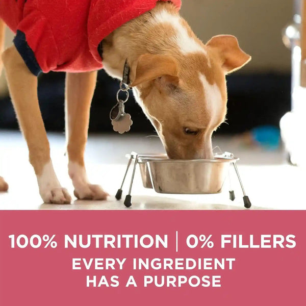 Purina ONE Natural, Sensitive Stomach Dry Dog Food, +Plus Skin & Coat Formula - 31.1 Lb. Bag10