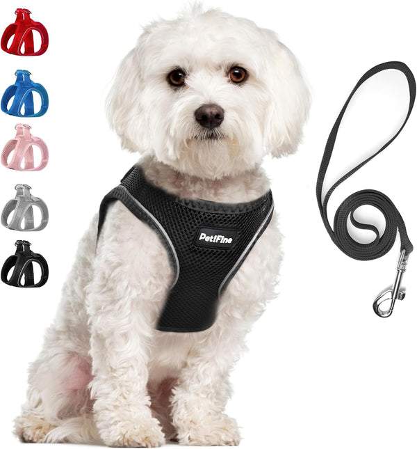 Small Dog Harness and Leash Set Breathable Step-In Puppy Cat Harness,Xs | Reflective for Safe Easy Walking,Soft Light Puppy Vest,Escape Proof,No Pull Harness for Dogs,All Weather Air Mesh Harness23