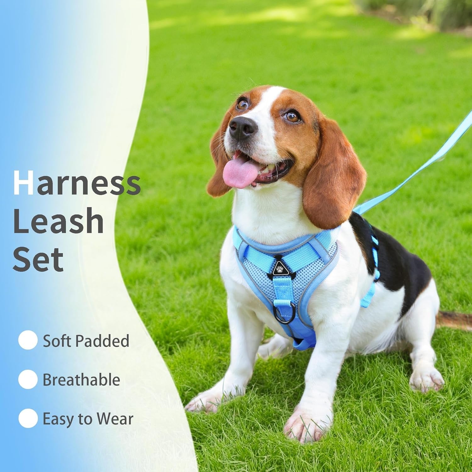 no-pull-dog-harness-with-leash-set-for-small-sized-dog-reflective-adjustable-no-choke-front-clip-cat-vest-harness-with-breathable-mesh-comfortable-soft-padded-pet-vest-blue-m
