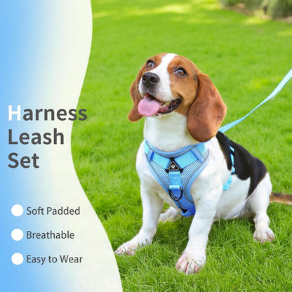 No Pull Dog Harness with Leash Set for Small Sized Dog, Reflective Adjustable No Choke Front Clip Cat Vest Harness with Breathable Mesh, Comfortable Soft Padded Pet Vest, Blue M2