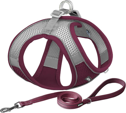 AIITLE No Pull Dog Harness and Leash Set, Step in Adjustable Dog Harness with Padded Vest for All Weather, Dog Leash with Soft Padded Handle, Easy to Put on Small and Medium Dogs Beige S22