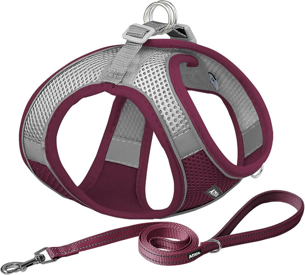 AIITLE No Pull Dog Harness and Leash Set, Step in Adjustable Dog Harness with Padded Vest for All Weather, Dog Leash with Soft Padded Handle, Easy to Put on Small and Medium Dogs Beige S22