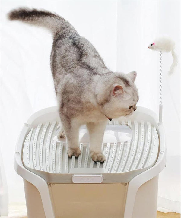 Dog Potty Training Toilet ﻿ Double-Door Cat Litter Box with Scoop and Funny Toys Large Easy Setup, to Clean(C)3