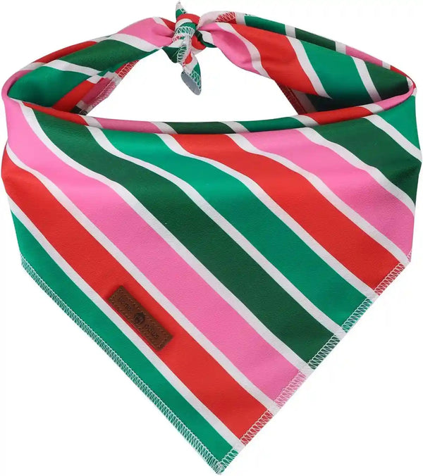 Lionet Paws Dog Bandana for Small Medium Large Dogs, Cat Kerchief Blue DOIT, Triangle Bibs Scarf for Girl or Boy16
